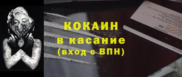 прущие грибы Кукмор