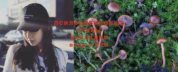 эйфоретик Куйбышев