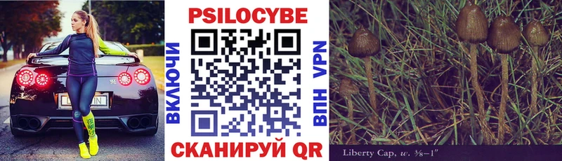 Галлюциногенные грибы Magic Shrooms  Новомичуринск 