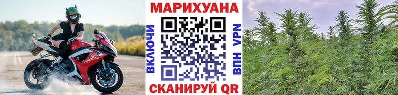 мега вход  Новомичуринск  Конопля тримм 